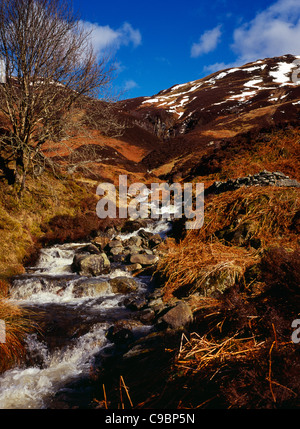 Schottland, Argyll und Bute, Lubnaig Loch, Loch Lomond und Trossachs National Park. Gebirgsbach entspringt westlich von Benn jedes Stockfoto