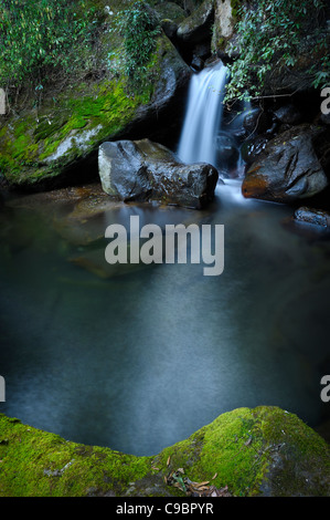 Fließenden Wasserfall und klare Pool, Injesuthi Abschnitt, Drakensberg Ukhahlamba Nationalpark, Kwazulu-Natal, Südafrika Stockfoto