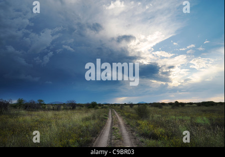 Grobe Fahrzeug Steig durch Grünland mit nähert sich Gewitterwolken, Madikwe Game Reserve, Northern Province, Südafrika. Stockfoto