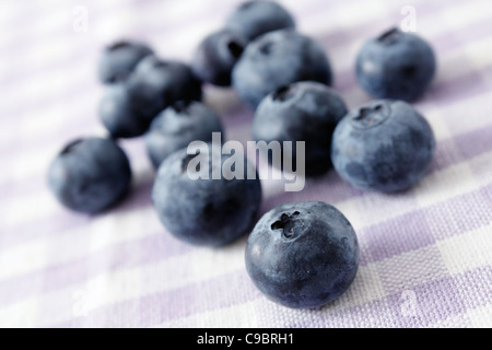 Heidelbeeren in einem Studio fotografiert Stockfoto