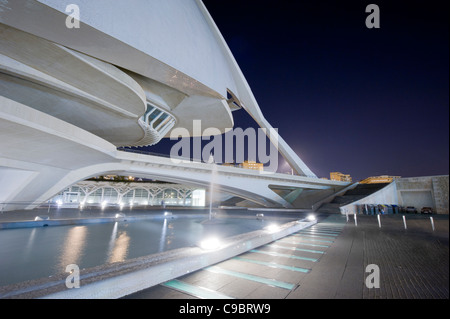 Santiago Calatrava Palau de Les Arts Reina Sofia in Valencia, Spanien. Stockfoto