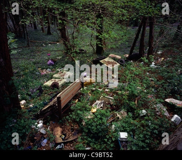 Wales, Gwynedd, Umwelt, verworfen, Haushalts- und allgemeinen Müll am Straßenrand Bluebell Holz in der Nähe von Porth Madog deponiert. Stockfoto