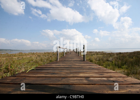 iSimangaliso Greater St. Lucia Wetlands Park, Provinz Kwazulu-Natal, Südafrika Stockfoto