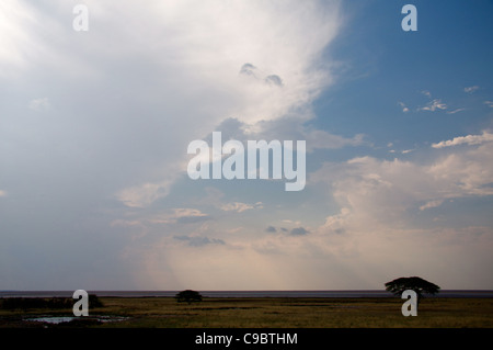 Entabeni Safari Conservancy, Waterberg Mountains, Limpopo Provinz, Südafrika Stockfoto