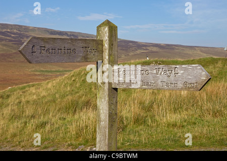 Nahaufnahme des Pennine Way Wanderweges Wegweiser in der Nähe von Pen Y Ghent Yorkshire Dales National Park North Yorkshire England Großbritannien Großbritannien Stockfoto