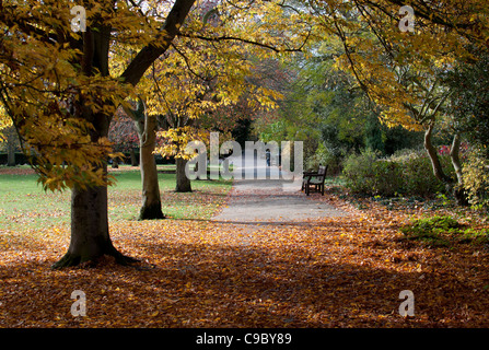 Jephson Gärten im Herbst, Leamington Spa, England, UK Stockfoto