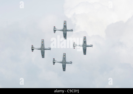 Irish Air Corps-Newcastle Co. unten Stockfoto