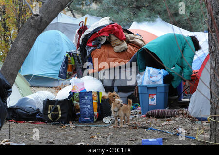 21. November 2011, packt vor den meisten anderen eines unbekanntes obdachloses Demonstranten bereitet St. James Park folgenden Räumen, die heute Morgen von Ontario Superior Court Richter David Brown, Wahrung der besetzen Toronto Zelt camp Räumung die Entscheidung überliefert. Stockfoto