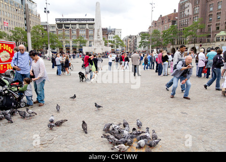 Touristen und Tauben bewohnen die Dam, dem Hauptplatz von Amsterdam, Niederlande Stockfoto