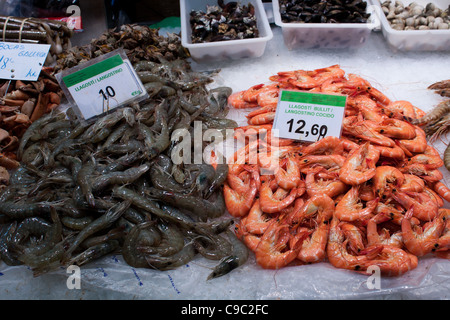 Frische Muscheln in Barcelona Markt Stockfoto
