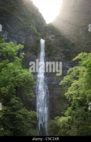 Die Hanakapi'ai fällt in Kauai im weltberühmten Kalalau Trail in Hawaii. Stockfoto