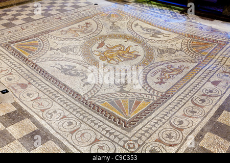 Amor auf einem Delphin-Mosaik im Fishbourne Roman Palace, in der Nähe von Chichester, West Sussex, Großbritannien Stockfoto