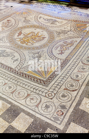 Amor auf einem Delphin-Mosaik im Fishbourne Roman Palace, in der Nähe von Chichester, West Sussex, Großbritannien Stockfoto