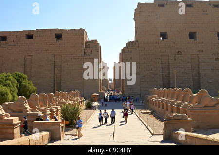 Allee der Widderköpfige Sphingen vor Karnak Tempel, Ägypten Stockfoto