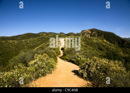 Kalifornien - das Rückgrat Trail durchqueren Chaparral bedeckt Hänge oberhalb der Endstation am Will Rogers State Historic Park. Stockfoto