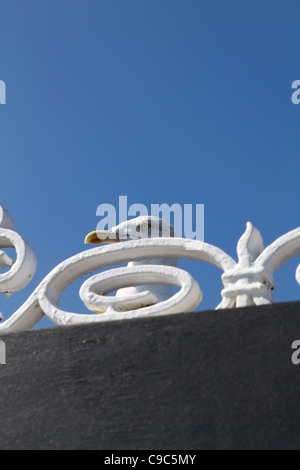 Möwe spähte über den Rand eines Gebäudes am Pier von Brighton, England Stockfoto