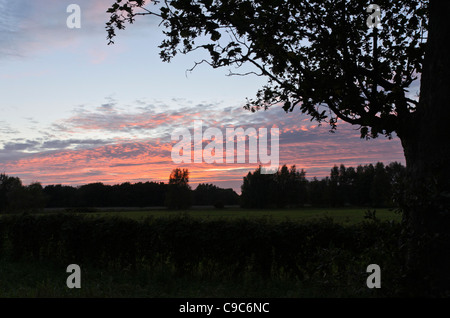 Sonnenuntergang am Naturschutzgebiet karower gesehen, Berlin, Deutschland Stockfoto