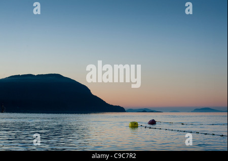 Kommerzielle Reefnet Lachsfischen Boje Linien erreichen Sie auf dem offenen Ozean bilden ein künstliches Riff um die Fische anzulocken. Stockfoto