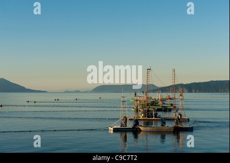 Reefnet Lachs Fischer im Puget Sound, Washington, bereiten Sie für Tage an einem schönen sonnigen Sommermorgen am Meer Angeln. Stockfoto