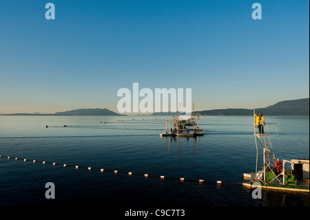 Reefnet Lachs Fischer im Puget Sound, Washington, bereiten Sie für Tage an einem schönen sonnigen Sommermorgen am Meer Angeln. Stockfoto