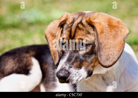 Frauen Outdoor Aktivitäten Stockfoto