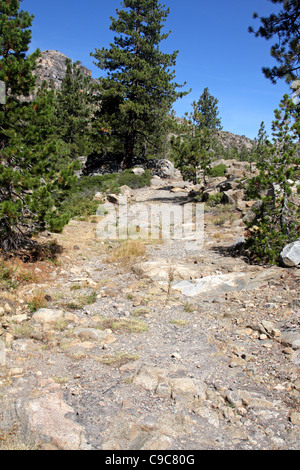 Lincoln Highway Gleisbett klettert auf der Ostseite des Donner-Gipfel in der Nähe von Truckee, Kalifornien. Stockfoto