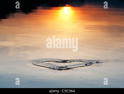 Herzförmige Wasser Wellen auf der Oberfläche eines Sees in Indien bei Sonnenaufgang Stockfoto