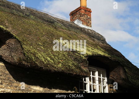 Reetdachhaus mit Dach in Not von Renovierungs- und Reparaturarbeiten. Stockfoto