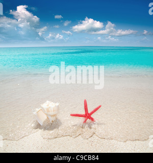 Seestern und Muschel in weißen Sandstrand mit türkisfarbenem tropischen Wasser Stockfoto