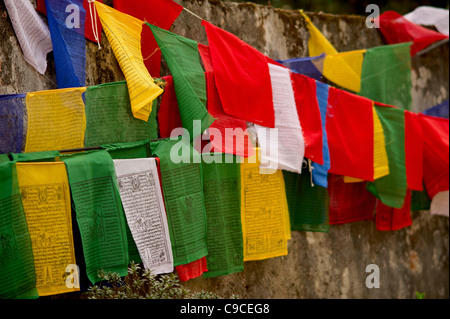 Indien, Südasien, Sikkim, bunten Gebetsfahnen in buddhistischen Kloster. Stockfoto