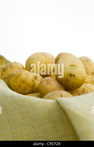 Frische Kartoffeln in Korb Stockfoto