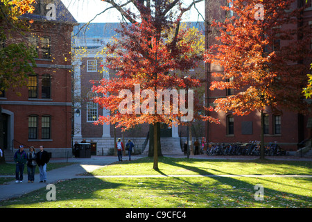 Landschaften des Harvard Yard, dem zentralen Campus der Harvard University, im Indian Summer Herbst. Stockfoto