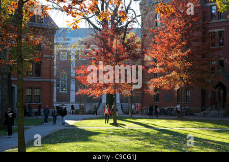 Landschaften des Harvard Yard, dem zentralen Campus der Harvard University, im Indian Summer Herbst. Stockfoto