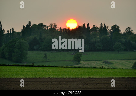 Sonnenuntergang über dem Ackerland (Norden Mayenne, Pays de la Loire, Frankreich, Europa). Stockfoto