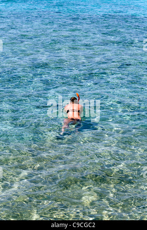 Schnorcheln an der Naama Bay, Sharme-El-Sheik. Ägypten Stockfoto