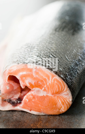 Frischer Lachs Stockfoto