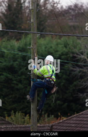 Ein Ingenieur der BT (British Telecom) klettert einen Telegrafenmast um Wartungen durchzuführen. Stockfoto