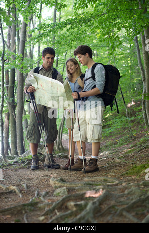 Wanderer, die Beratung Karte Stockfoto