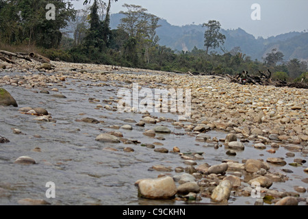 Debang Flussbett, Arunachal Pradesh, Indien Stockfoto