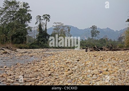 Debang Flussbett, Arunachal Pradesh, Indien Stockfoto