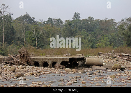 Debang Flussbett, Arunachal Pradesh, Indien Stockfoto