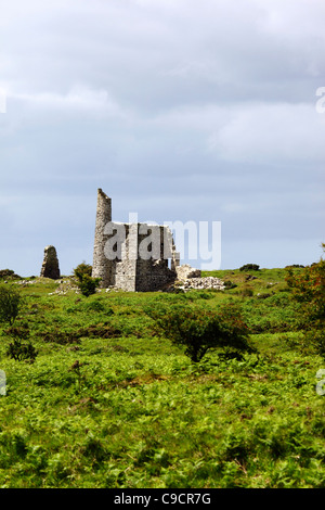 Neue Phoenix Mine Motor Hausruine, Bodmin Moor, Cornwall, England Stockfoto