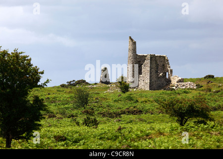 Neue Phoenix Mine Motor Hausruine, Bodmin Moor, Cornwall, England Stockfoto