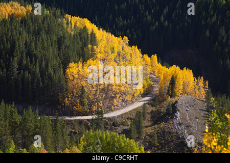 Herbst Farbe entlang der Million Dollar Highway (US 550) Teil des San Juan Skyway Scenic Byway in Colorado, mit Blick auf die Lime Creek Road. Stockfoto