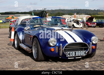 Ac cobra Stockfoto