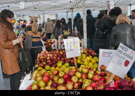 Äpfel in der Union Square Greenmarket am Samstag, 19. November 2011 (© Richard B. Levine) in New York zu verkaufen Stockfoto