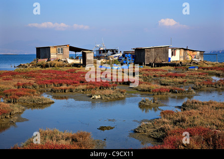 Hütten im Delta des Axios Stelze (auch bekannt als "Vardaris") Fluss, Thessaloniki, Makedonien, Griechenland Stockfoto