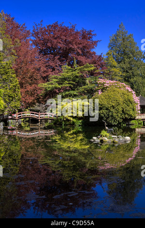 Japanischer Garten, Hatley Park, Victoria, Britisch-Kolumbien zu senken Stockfoto