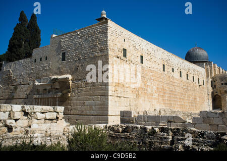 Jerusalem, Israel. 23. November 2011. Gan HaOfel archäologischen Park unter denen antike Münzen vor kurzem entdeckt wurden wissenschaftliche Bestätigung, dass die Klagemauer und Robinsons Bogenkonstruktion in König Herodes Leben nicht abgeschlossen wurde, zeigen Archäologen. Stockfoto