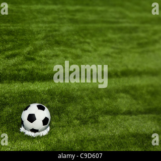 Fußball auf dem grünen Rasen Stockfoto